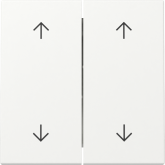 GIRA Wippe 2-fach Pfeile System 55 Reinweiß m