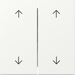 GIRA Wippe 2-fach Pfeile System 55 Reinweiß m