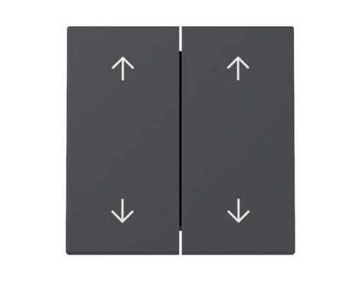 GIRA Wippe 2-fach Pfeile System 55 Anthrazit