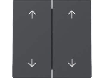 GIRA Wippe 2-fach Pfeile System 55 Anthrazit