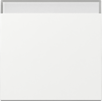 GIRA Wippe BSF System 55 Reinweiß