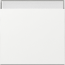 GIRA Wippe BSF System 55 Reinweiß