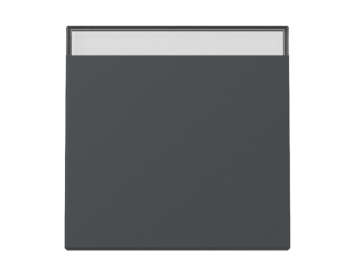 GIRA Wippe BSF System 55 Anthrazit