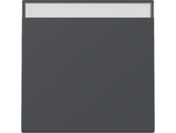 GIRA Wippe BSF System 55 Anthrazit