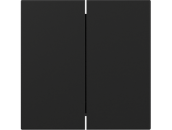 GIRA Wippe 2-fach gerade System 55 Schwarz m