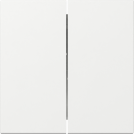 GIRA Wippe 2-fach gerade System 55 Reinweiß