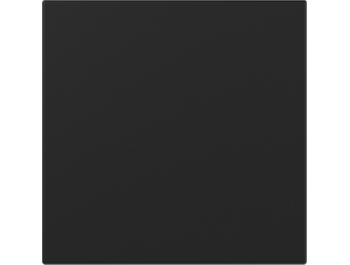 GIRA Wippe gerade System 55 Schwarz m