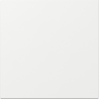 GIRA Wippe gerade System 55 Reinweiß