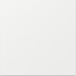 GIRA Wippe gerade System 55 Reinweiß