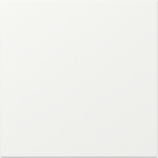 GIRA Wippe gerade System 55 Reinweiß m