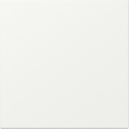 GIRA Wippe gerade System 55 Reinweiß m