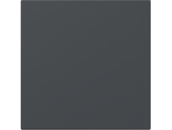 GIRA Wippe gerade System 55 Anthrazit