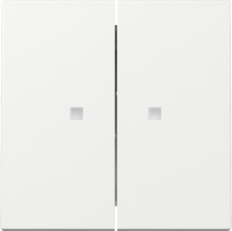 GIRA Wippe 2-fach Kontrollf. System 55 Reinweiß