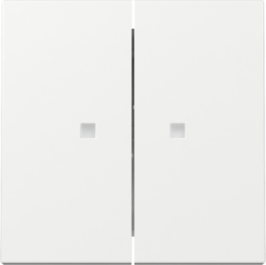 GIRA Wippe 2-fach Kontrollf. System 55 Reinweiß