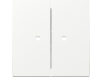 GIRA Wippe 2-fach Kontrollf. System 55 Reinweiß m