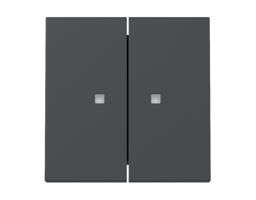 GIRA Wippe 2-fach Kontrollf. System 55 Anthrazit