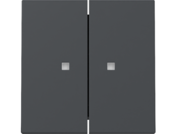 GIRA Wippe 2-fach Kontrollf. System 55 Anthrazit