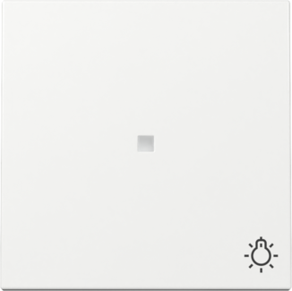 GIRA Wippe Kontrollf. + Symbol Licht System 55 Reinweiß