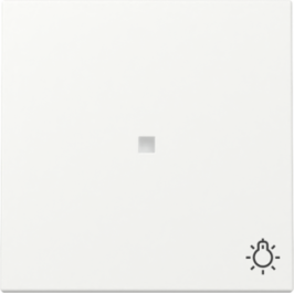 GIRA Wippe Kontrollf. + Symbol Licht System 55...