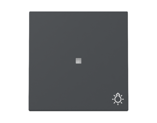 GIRA Wippe Kontrollf. + Symbol Licht System 55 Anthrazit