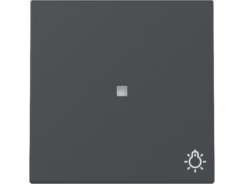 GIRA Wippe Kontrollf. + Symbol Licht System 55 Anthrazit