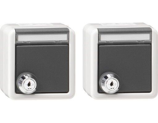 GIRA Set 2x SCHUKO KD Schloss gleich + BSF WG AP Grau