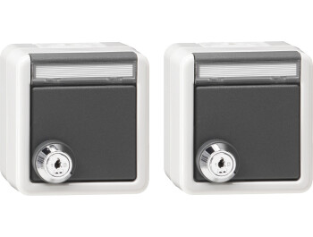 GIRA Set 2x SCHUKO KD Schloss gleich + BSF WG AP Grau