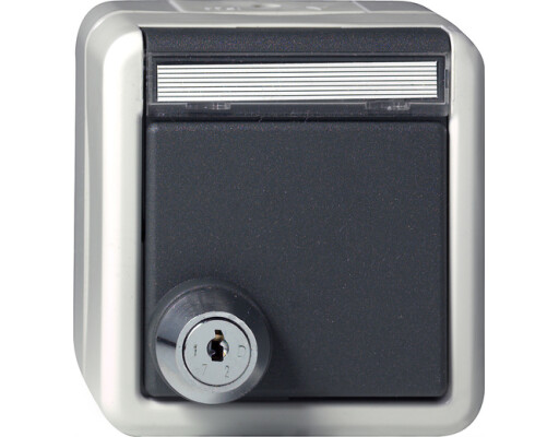 GIRA SCHUKO-Steckdose KD Schloss sortiert + BSF WG AP Grau