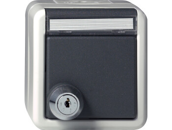 GIRA SCHUKO-Steckdose KD Schloss sortiert + BSF WG AP Grau