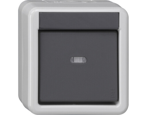 GIRA Taster-BA 1-fach Kontrollf. + 1-Punkt KNX WG AP Grau