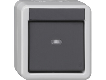 GIRA Taster-BA 1-fach Kontrollf. + 1-Punkt KNX WG AP Grau