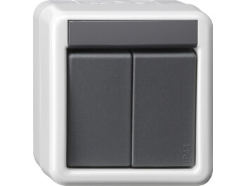 GIRA Taster-BA 2-fach 1-Punkt KNX WG AP Grau