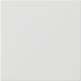 GIRA S3000 Bedienaufsatz System 55 Reinweiß