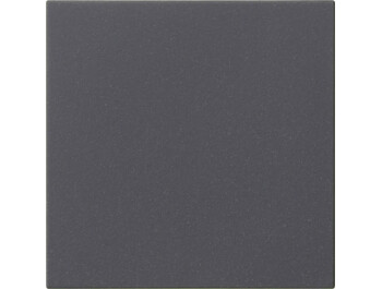 GIRA S3000 Bedienaufsatz System 55 Anthrazit