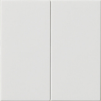 GIRA S3000 Bedienaufsatz 2-fach System 55 Reinweiß