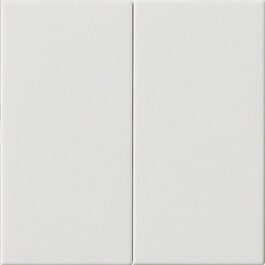 GIRA S3000 Bedienaufsatz 2-fach System 55 Reinweiß