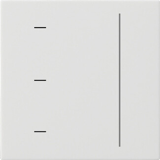 GIRA S3000 Touchaufsatz System 55 Reinweiß