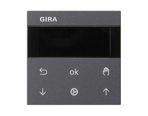 GIRA S3000 Jalousie-/Schaltuhr Display System 55 Anthrazit