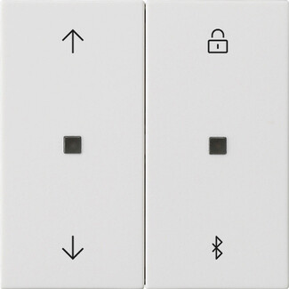 GIRA S3000 Jalousie-/Schaltuhr BT Pfeile System 55 Reinweiß m