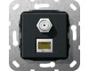 GIRA MJ RJ45 Cat.6A 10 Gbit SAT-F-Buchse Kpl. Einsatz Schwarz m
