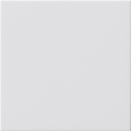 GIRA Blindabd. ohne Tragring System 55 Reinweiß