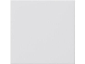 GIRA Blindabdeckung ohne Tragring System 55 Reinweiß