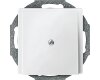 Merten 295619 Zentralplatte Leitungsauslass System M polarweiß