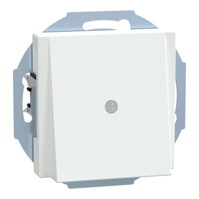 Merten 296325 Zentralplatte Leitungsauslass System M aktivweiß glänzend