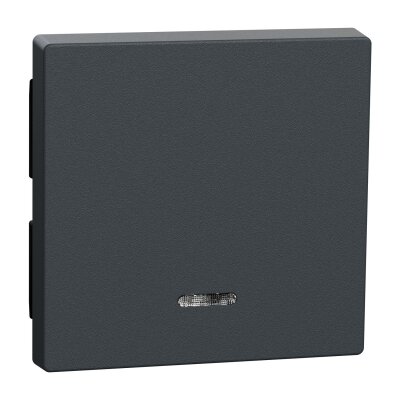 Merten 431014 Wippe mit Kontrollfenster System M anthrazit