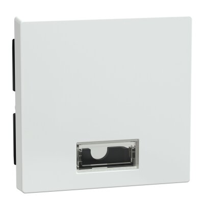 Merten 432825 Wippe mit rechteckigem Symbolfenster System M