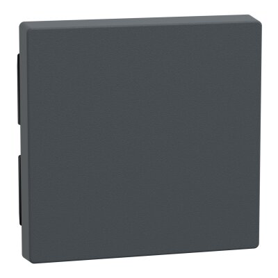 Merten 433114 Wippe System M anthrazit