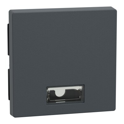 Merten 433814 Wippe mit rechteckigem Symbolfenster System M anthrazit