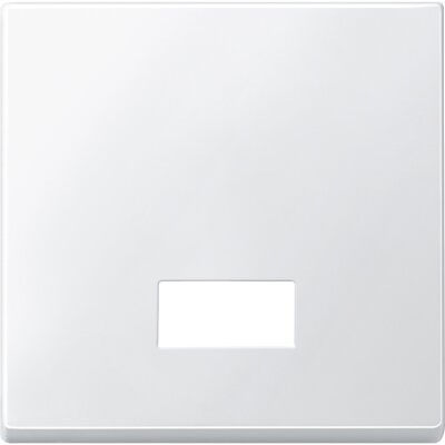 Merten 433819 Wippe mit rechteckigem Symbolfenster System M polarweiß