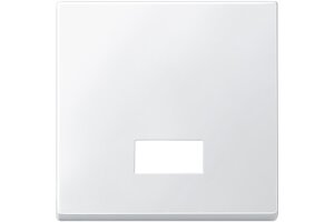 Merten 433819 Wippe mit rechteckigem Symbolfenster System...